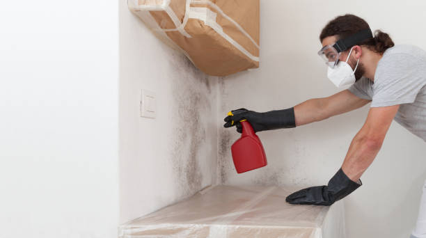 Professional Basement Mold Remediation technician working in Tyrone, GA