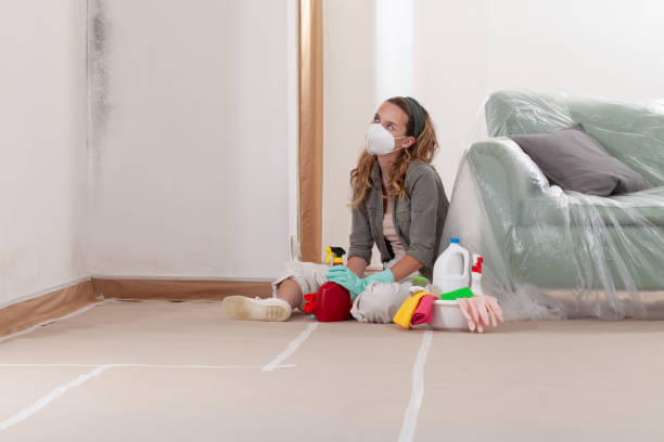 Reliable Basement Mold Remediation contractor in Tyrone, GA by 24 Hour Mold Removal